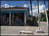 100_1345.JPG