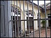 100_1351.JPG