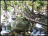 100_1426.JPG