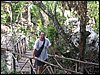 100_1427.JPG
