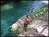 100_1435.JPG