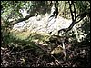 100_1438.JPG