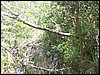 100_1439.JPG