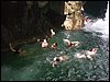 100_1447.JPG