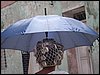 100_1490.JPG