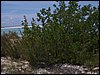 100_1527.JPG