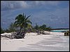 100_1552.JPG