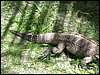 100_1554.JPG
