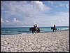100_1566.JPG